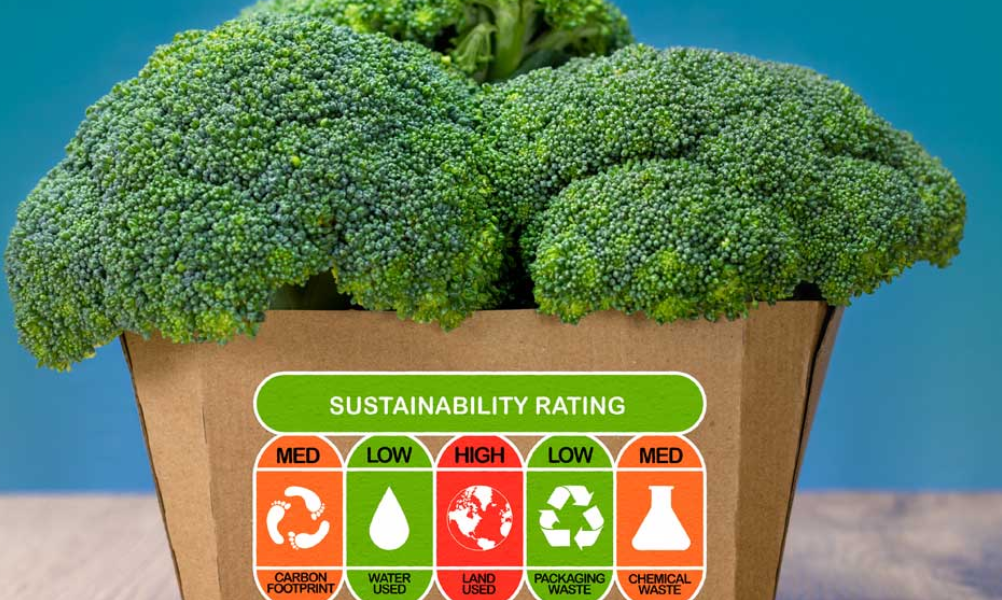 greenwashing
